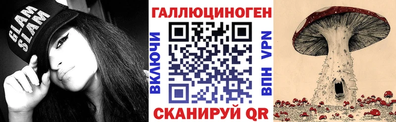 Псилоцибиновые грибы мицелий  Циолковский 